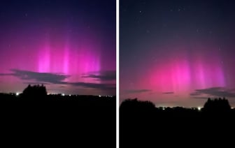 Жители Гомельщины ночью сняли северное сияние — Фото