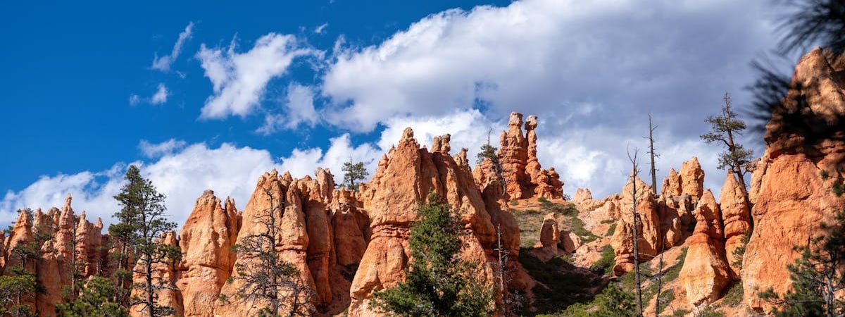 США выделили Польше $2 млрд на покупку оружия