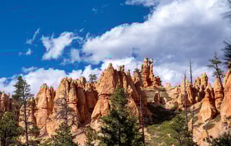 США выделили Польше $2 млрд на покупку оружия