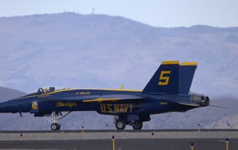 В Беларуси ввели лицензирование вывоза капусты, яблок и лука