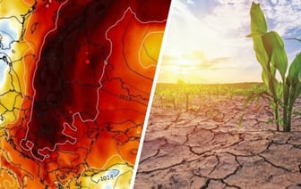 «Прогнозируется развитие засухи» — Синоптики назвали дату, до которой в Беларуси сохранится «положительная температурная аномалия» — Фото