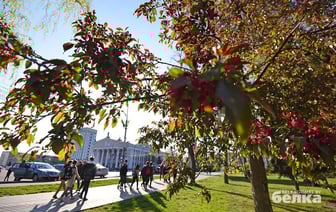 Выходные в Гомеле. Куда сходить 26-27 октября?