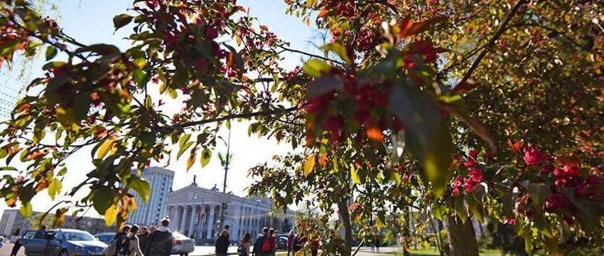 Выходные в Гомеле. Куда сходить 26-27 октября?