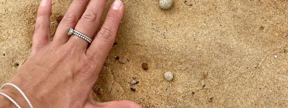 В Австралии снова закрыли пляжи из-за странных шаров. На этот раз внутри может быть «что угодно»