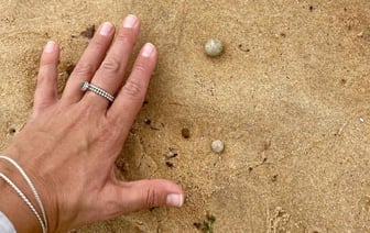 В Австралии снова закрыли пляжи из-за странных шаров. На этот раз внутри может быть «что угодно»