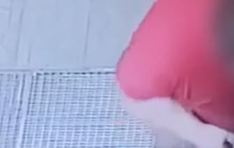 Брестчанин беспричинно повредил входные двери магазина