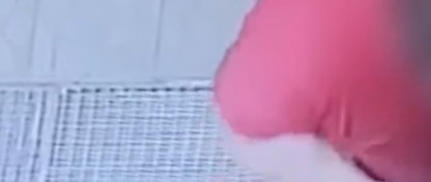 Брестчанин беспричинно повредил входные двери магазина