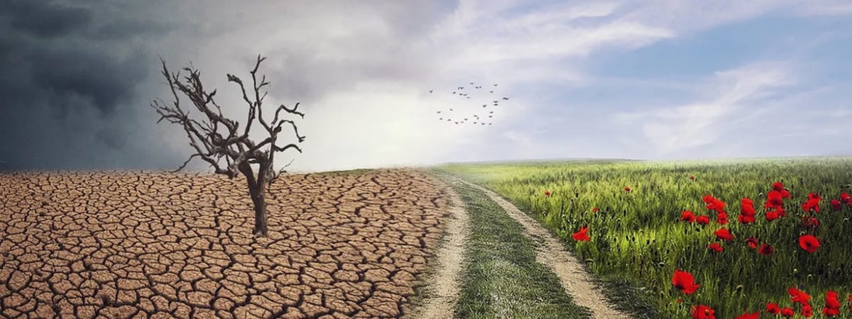 В ООН заявили, что у человечества осталось два года