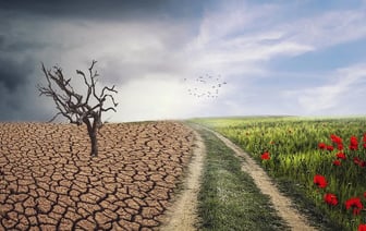 В ООН заявили, что у человечества осталось два года