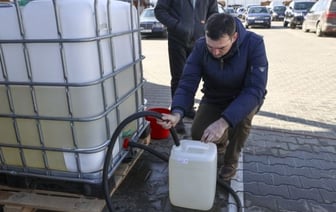 Южные лесхозы Брестской области начали продавать березовый сок населению