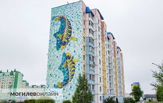 Новый мурал появился на Якубовского в Могилеве. Сколько еще рисунков будет на могилевских многоэтажках, и кто придумывает картинки для фасадов — узнали у художников