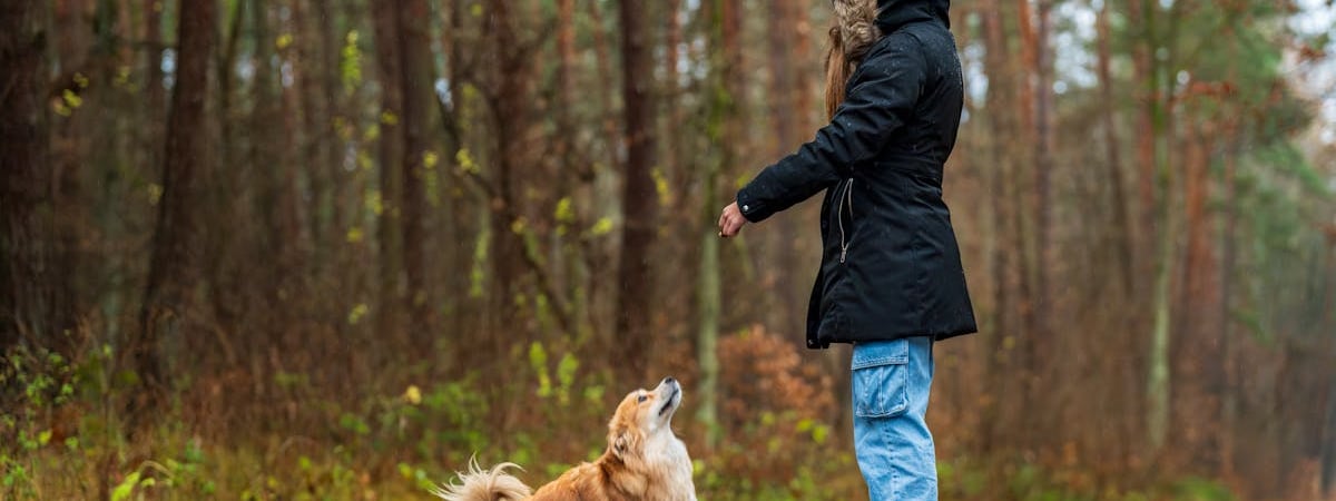 Учения ОДКБ в 2025 году пройдут в Беларуси, Казахстане, Кыргызстане и Таджикистане