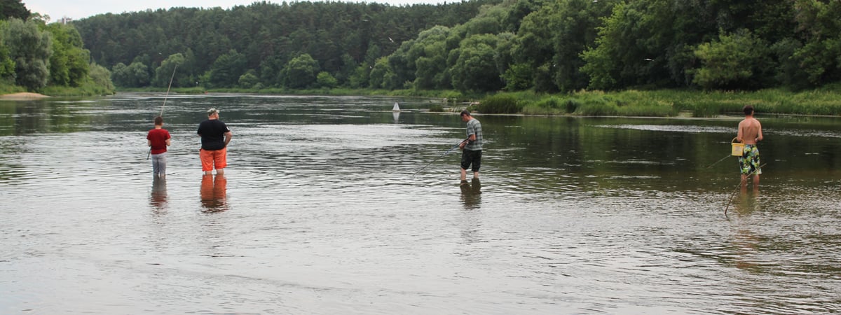 В Беларуси вводится запрет на лов рыбы — с чем это связано