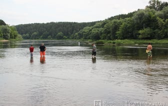 В Беларуси вводится запрет на лов рыбы — с чем это связано