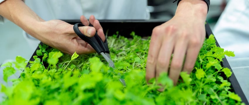 Инженер-механик из Полоцкого района осужден за взятки
