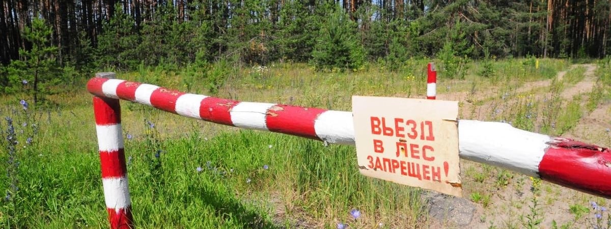Полный запрет на посещение леса в Беларуси: новости и штрафы