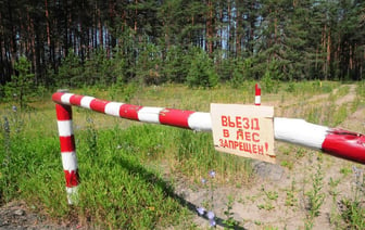 Полный запрет на посещение леса в Беларуси: новости и штрафы