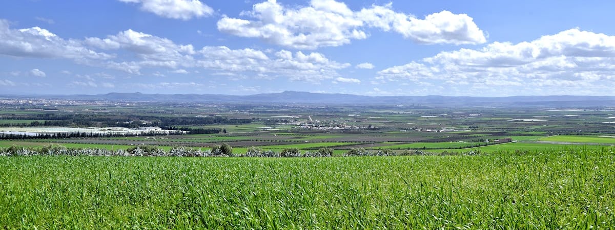 В Чехии планируют расширить использование криптовалют в стране