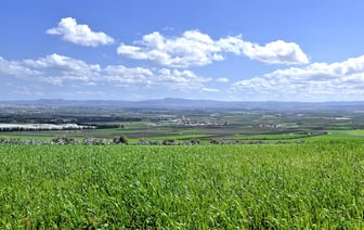 В Чехии планируют расширить использование криптовалют в стране
