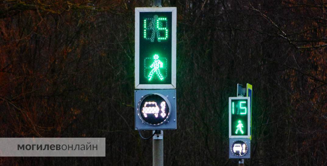 В Могилеве установили необычные светофоры для пешеходов