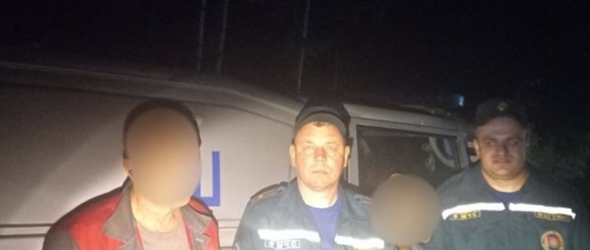 В Брестском районе женщина заблудилась в лесном массиве