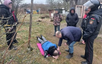 В Дубровенском районе внук «в ярости» избил бабушку — Фото