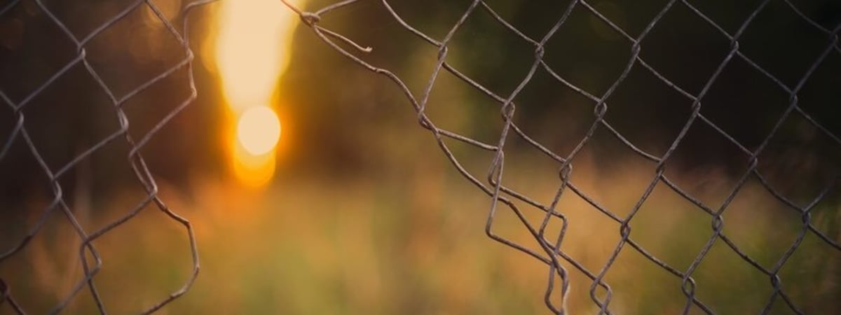 Dissidentby: Некоторые из вышедших на свободу политзаключенных не писали прошений о помиловании