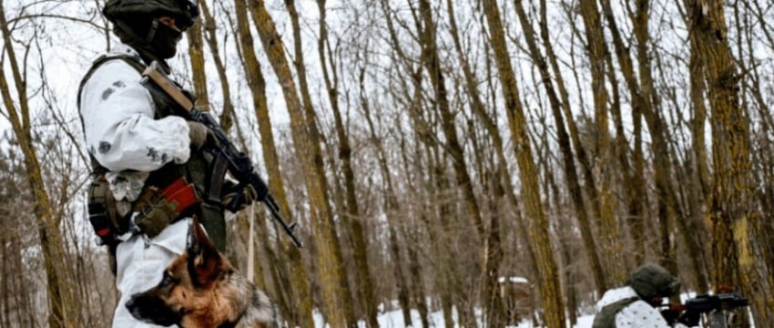 Спецназ Беларуси усилил охрану границы с Украиной