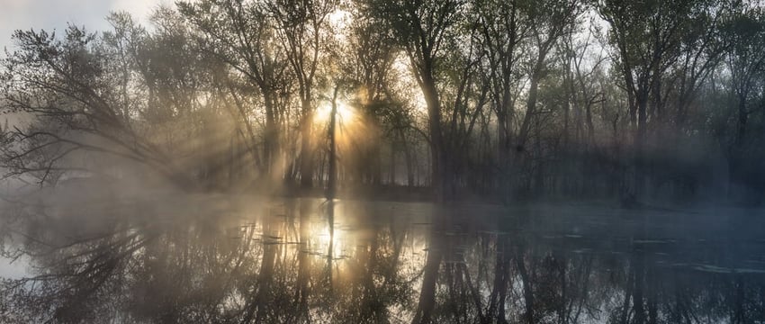 ДТП в Новополоцке: автомобиль наехал на пешехода