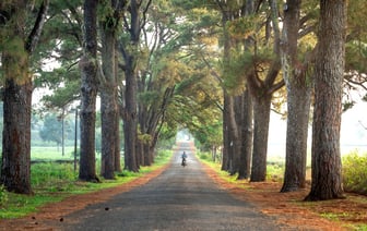 Поедание сгущенки, хлебное дерево и фото с журавлем. Какие развлечения предложат на «Дожинках» в Полоцке?