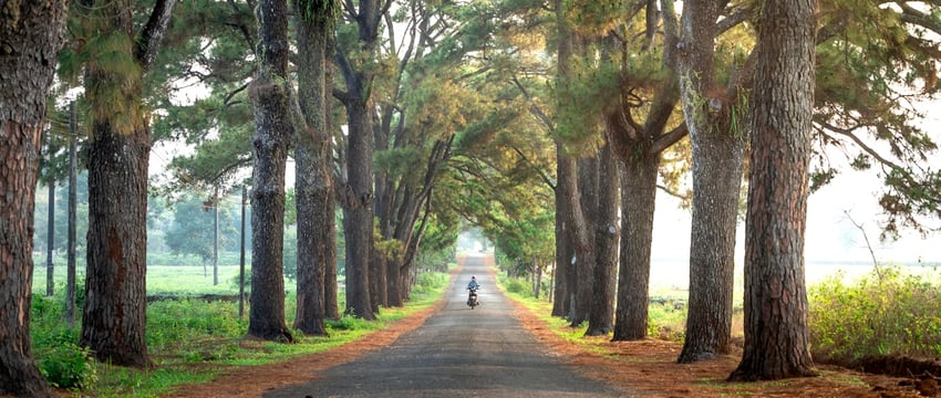 Поедание сгущенки, хлебное дерево и фото с журавлем. Какие развлечения предложат на «Дожинках» в Полоцке?