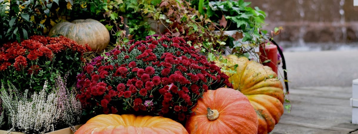 Производство легковых автомобилей в Чехии за январь-сентябрь выросло на 7,8%