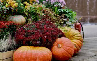 Производство легковых автомобилей в Чехии за январь-сентябрь выросло на 7,8%