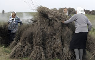 Сразу 14 млн. долларов США хочет потратить Оршанский льнокомбинат на новое оборудование