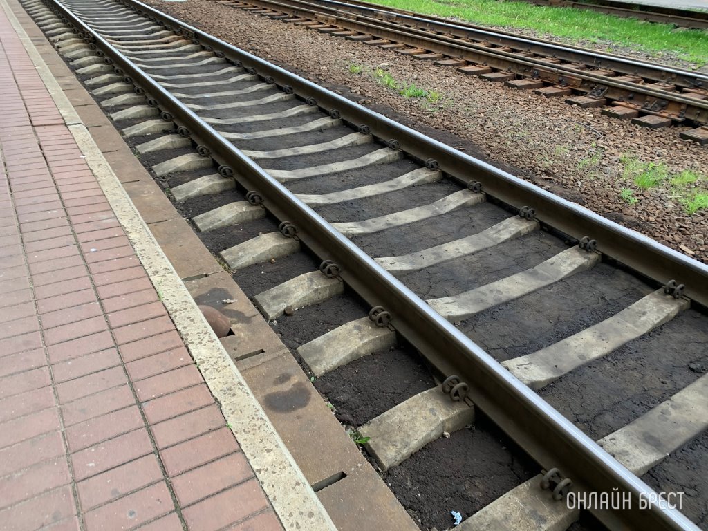 Фото носит иллюстративный характер