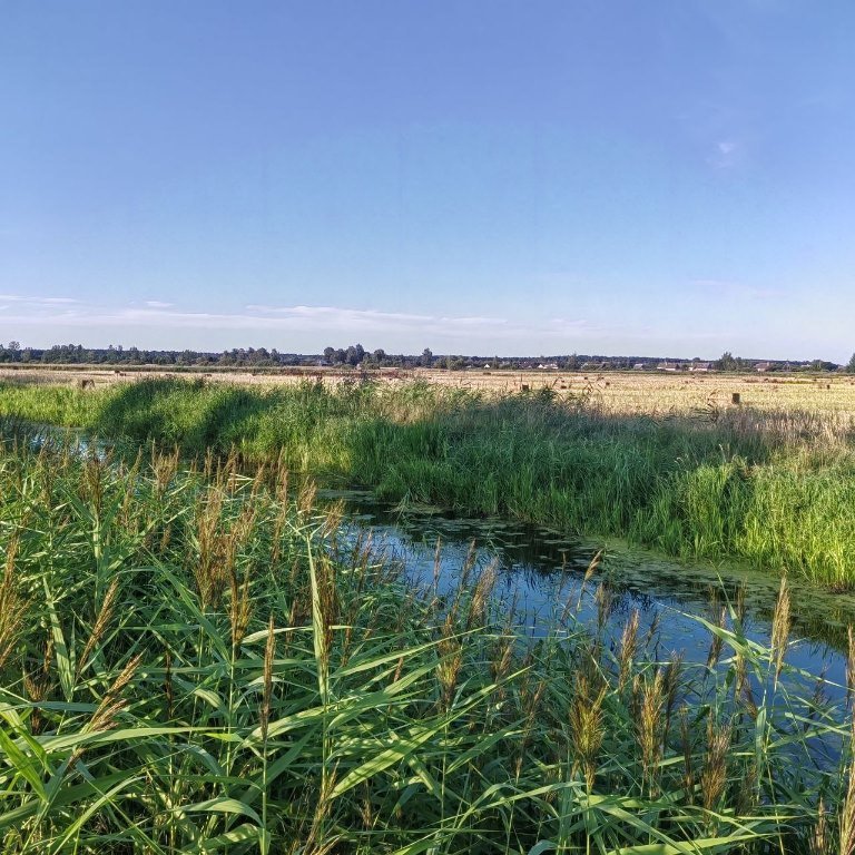 Глубина трагедий: на водохранилище в Барановичах очевидцы спасли пенсионера, в Малоритском районе обнаружили погибшего мужчину