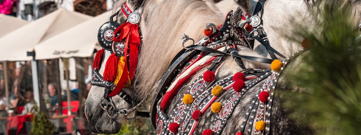 Польша усилит таможенный контроль прибывающих из Беларуси товаров