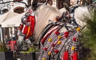 Польша усилит таможенный контроль прибывающих из Беларуси товаров