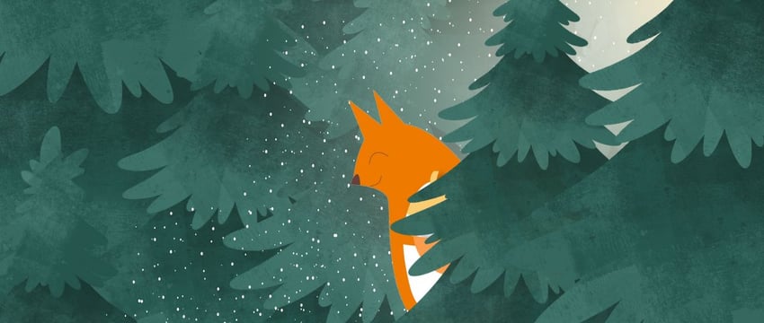 17 вопросов о ёлках. Изучаем предновогоднюю рутину в Гомеле