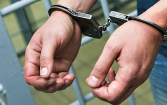 Мужчина из-под Минска совращал девочек-подростков в интернете