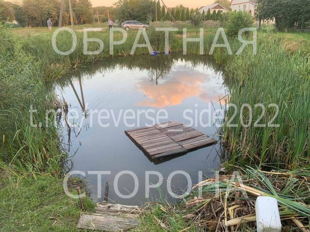 В Кобринском районе утонул 9-летний мальчик