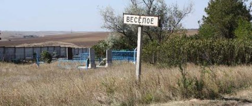 Минобороны России заявило о взятии пол контроль села Веселое в ДНР