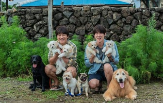 Смотри, Гомель: пять фильмов про мокрые носы и пушистые хвосты