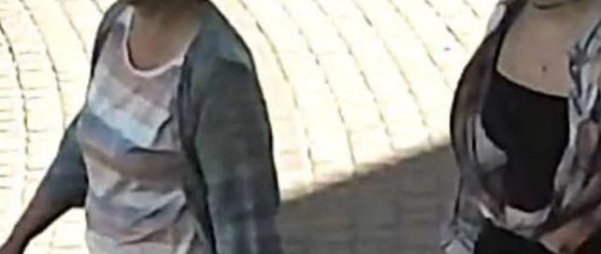 В Бресте милиция разыскивает двух женщин
