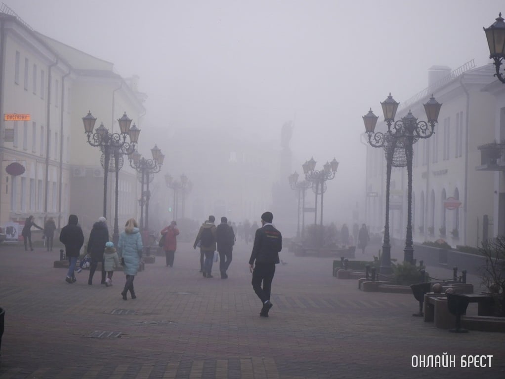 Фото носит иллюстративный характер
