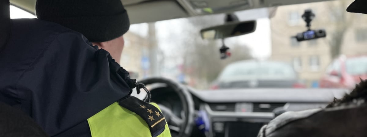 «Приводит к хаосам на улицах» — ГАИ пригрозила белорусским водителям штрафами и эвакуацией