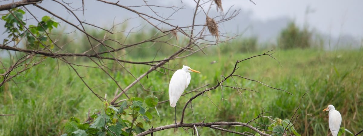 Цены на нефть эталонных марок утром в среду снижаются