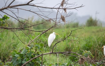 Цены на нефть эталонных марок утром в среду снижаются