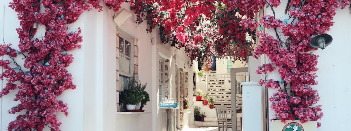 Греция намерена досрочно погасить долги на €5 млрд