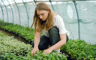 В Беларуси производство сельхозпродукции за январь-июнь увеличилось на 18,1%